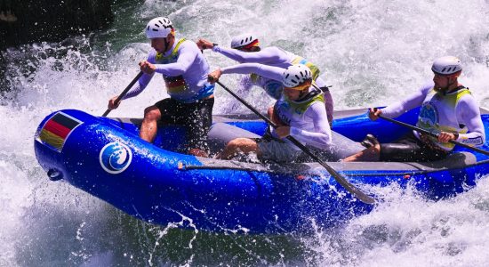 WhatsApp Bild 2025-01-07 um 15.36.07_cb3ff306